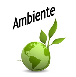 I nostri servizi: adempimenti in materia ambientale